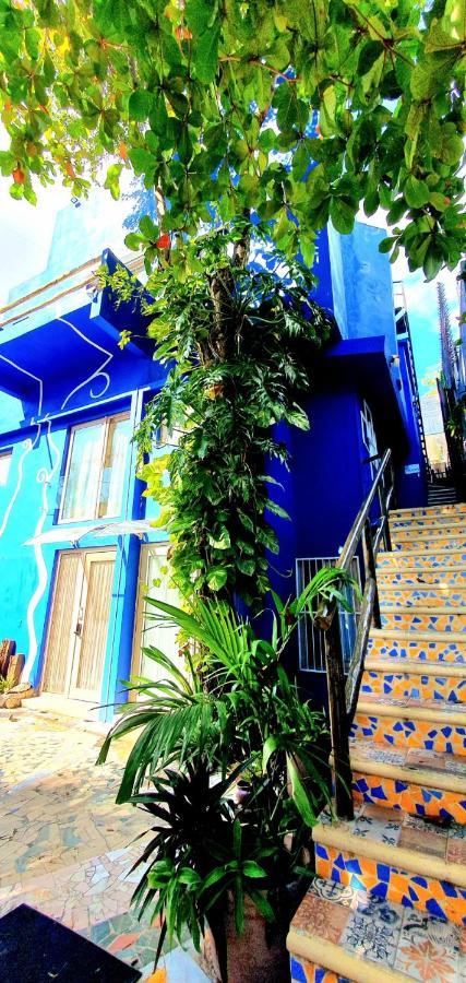 Bloom! Exclusive Boutique B&B (Adults Only) Плайя-дель-Кармен Екстер'єр фото