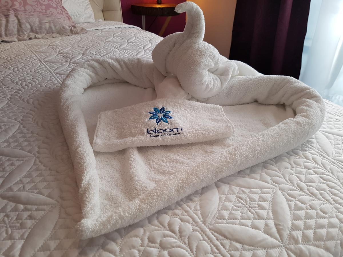 Bloom! Exclusive Boutique B&B (Adults Only) Плайя-дель-Кармен Екстер'єр фото